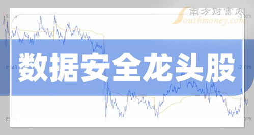 中國(guó)數(shù)據(jù)安全龍頭股名單 聚焦網(wǎng)絡(luò)與信息安全軟件開發(fā)企業(yè)