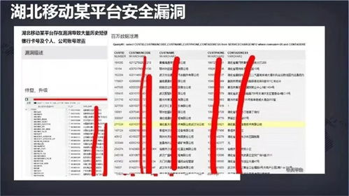 守護數字身份 網絡安全周下，應對個人信息泄露與安全軟件的選擇之道